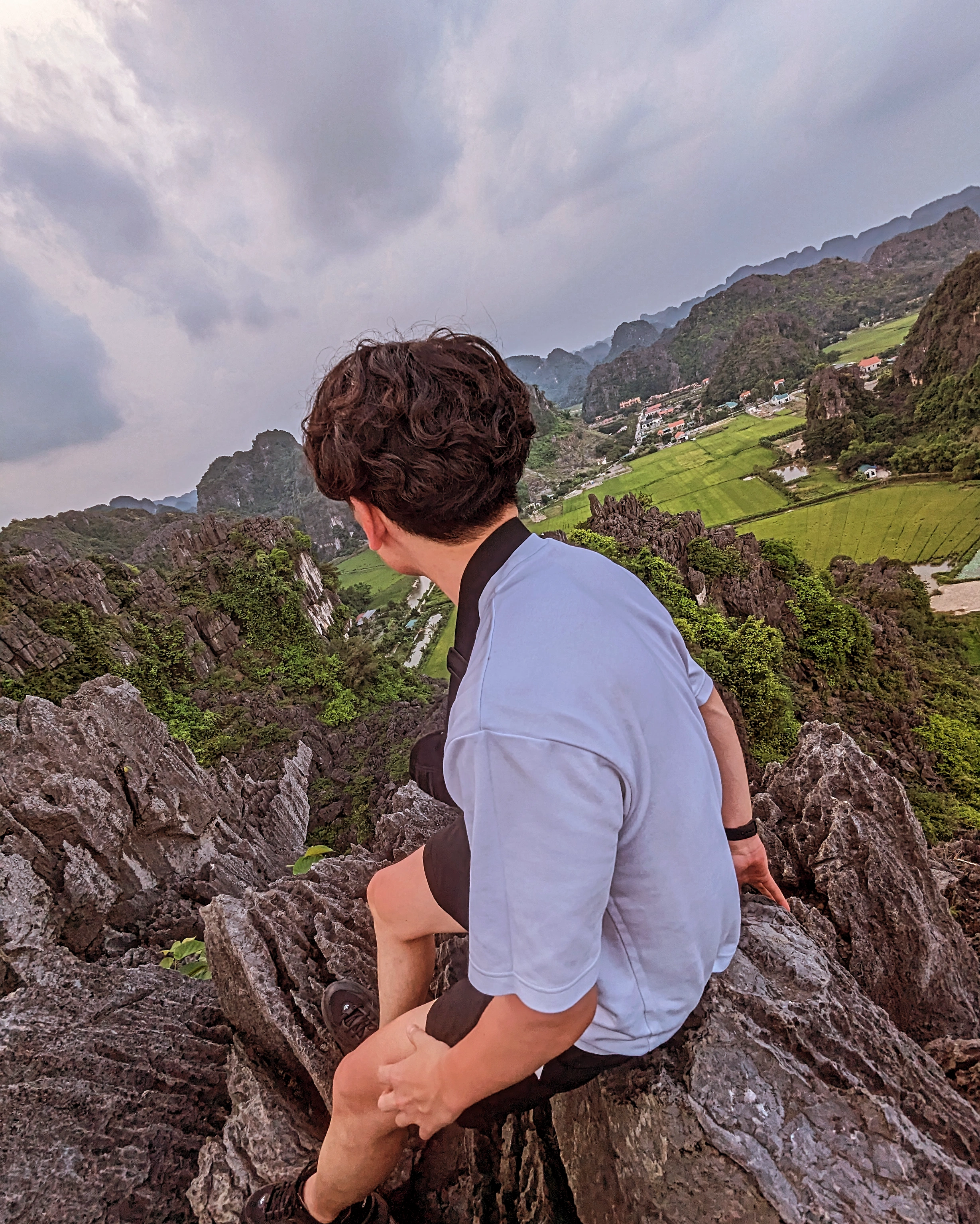 Introductory picture here